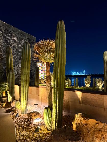 Polleen photo 209668