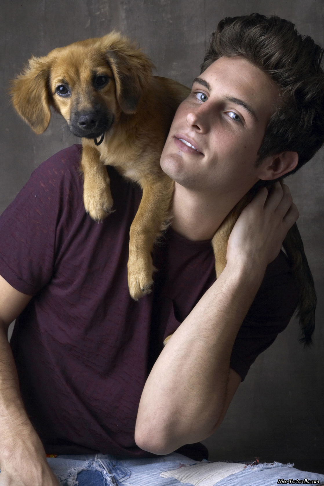 Nico Tortorella #210399