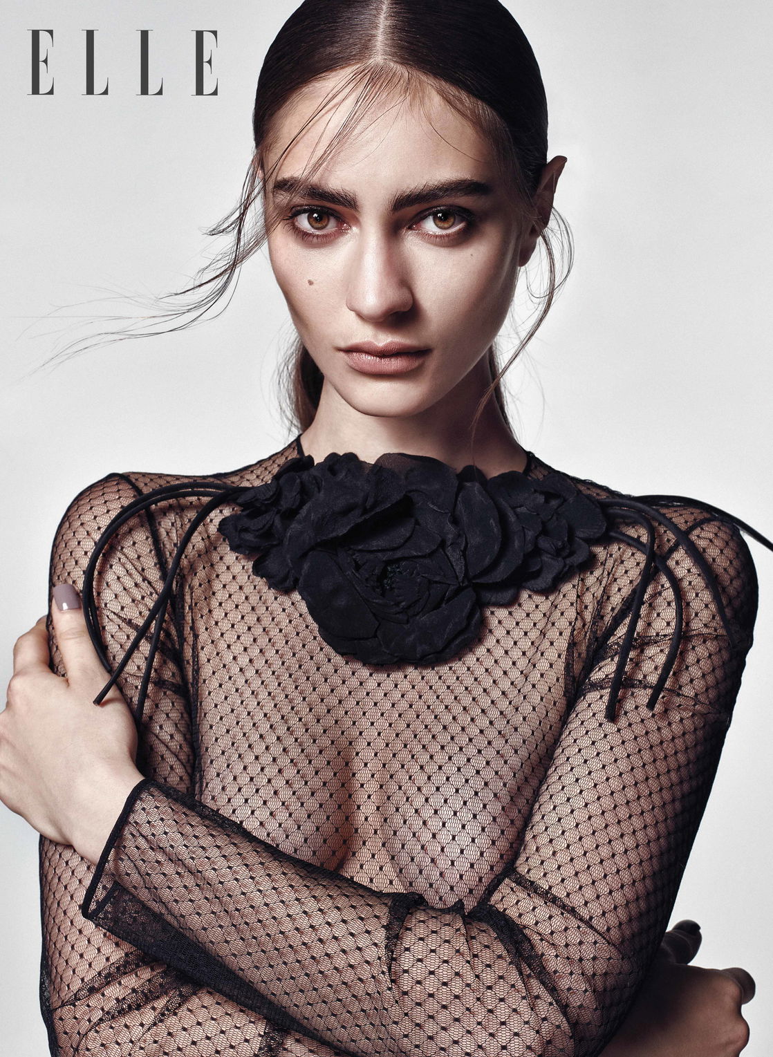 Marine Deleeuw #212011