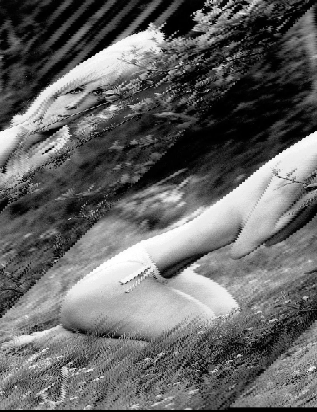 Susan Denberg #212371