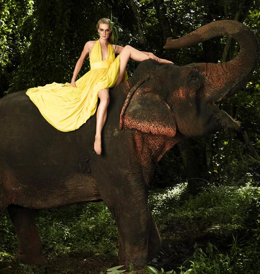 Joanie Dodds #212967