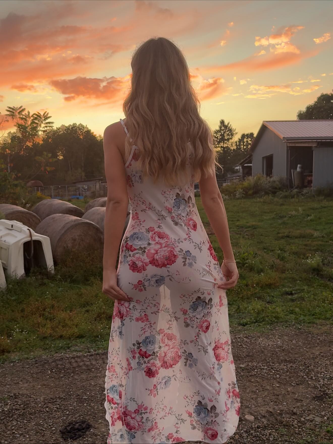 Carley Whitlock #214912