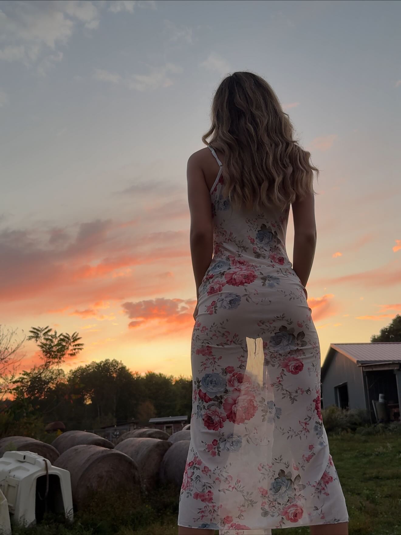 Carley Whitlock #214914