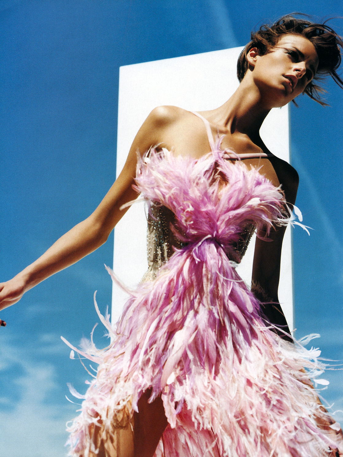 Jacquetta Wheeler #217586