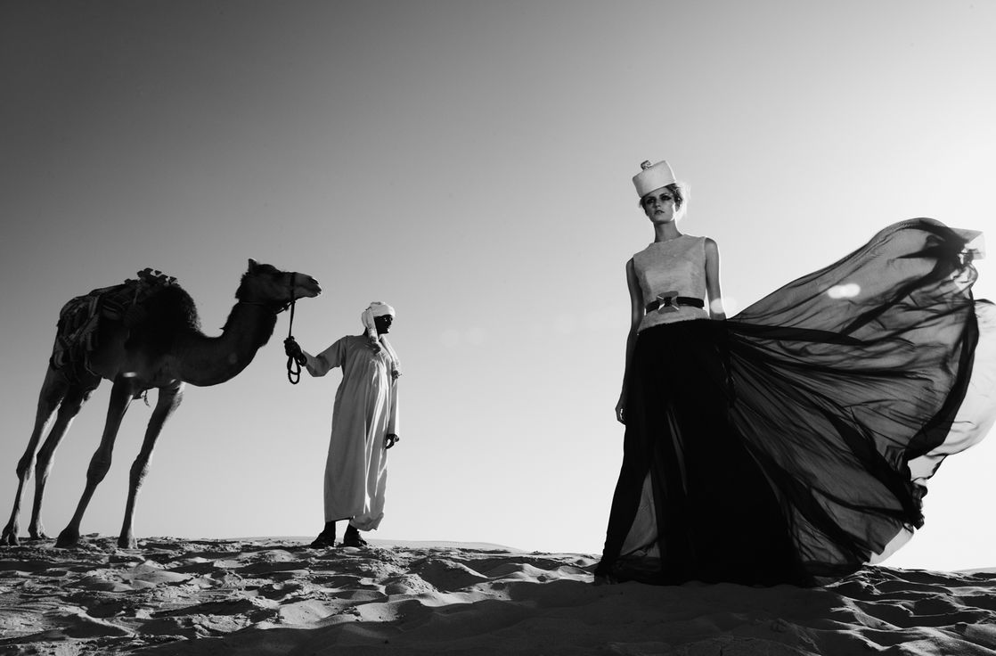 Jacquetta Wheeler #217602