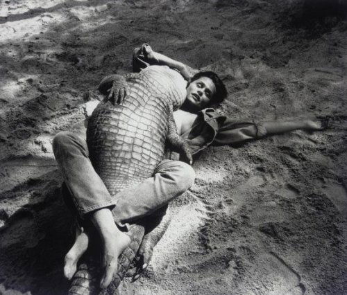 Lauren Hutton #217971