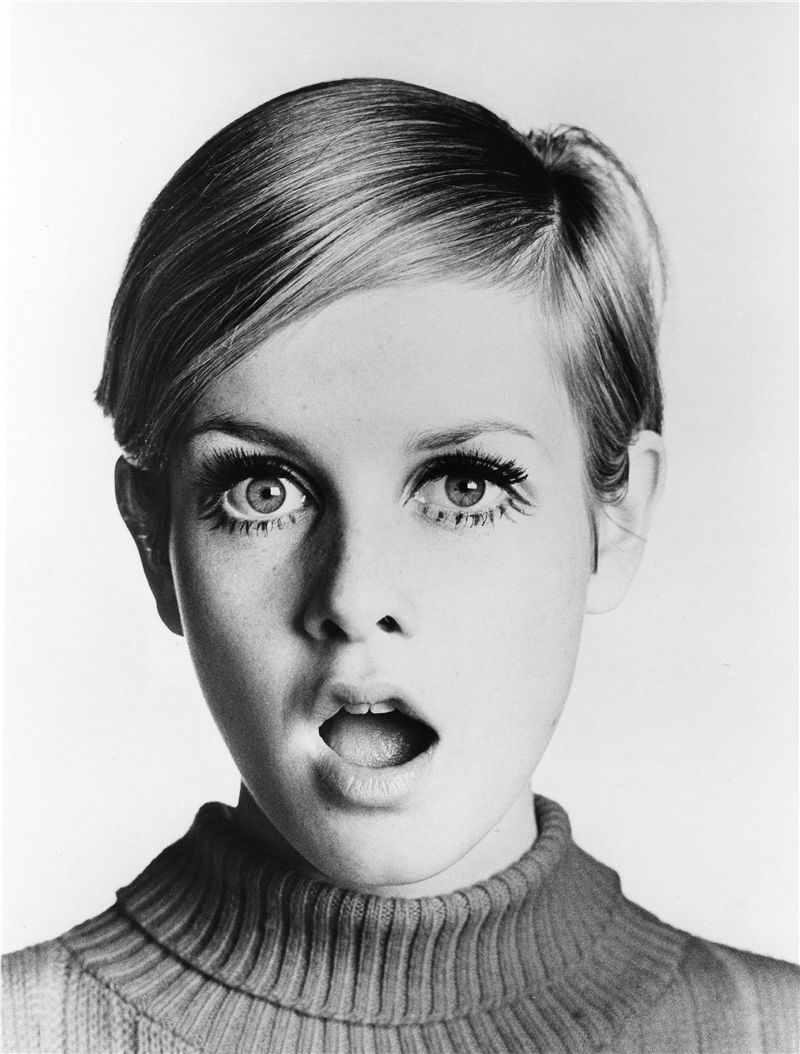 Twiggy #219766
