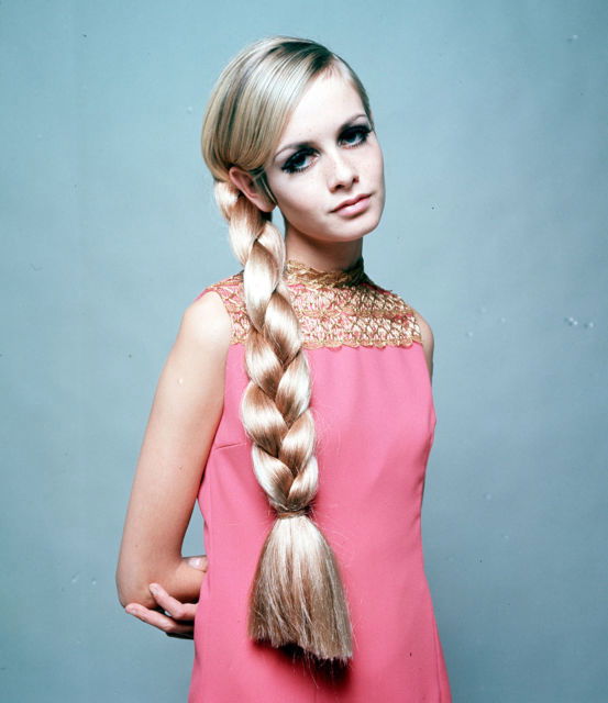 Twiggy #219767
