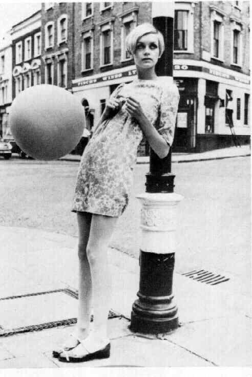Twiggy #219809