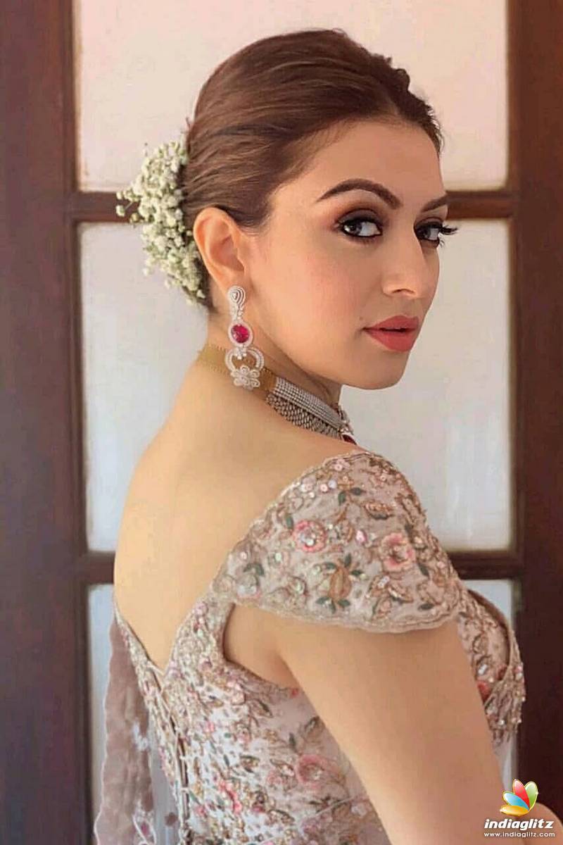 Hansika Motwani #239241