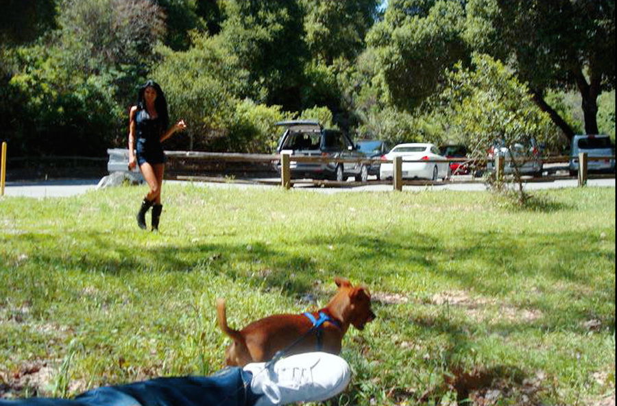 Polina Tretiakova #220186