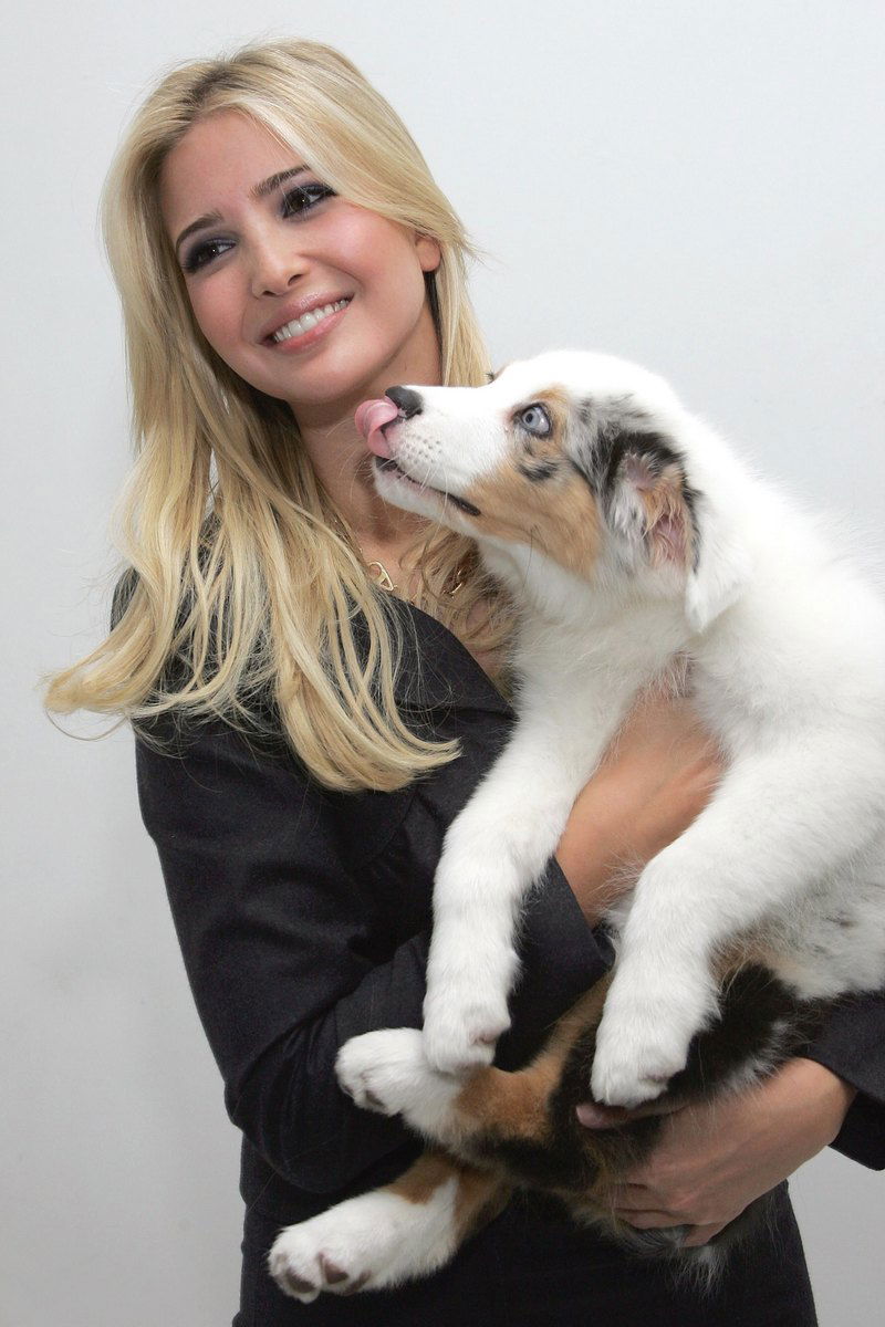 Ivanka Trump #225032