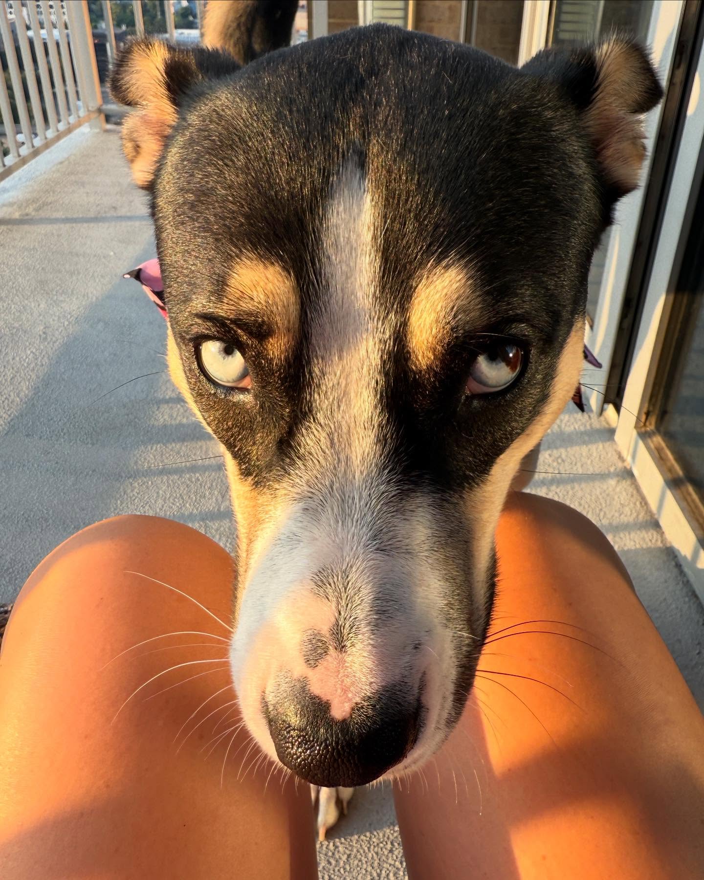 Emmalee Prindle #229429