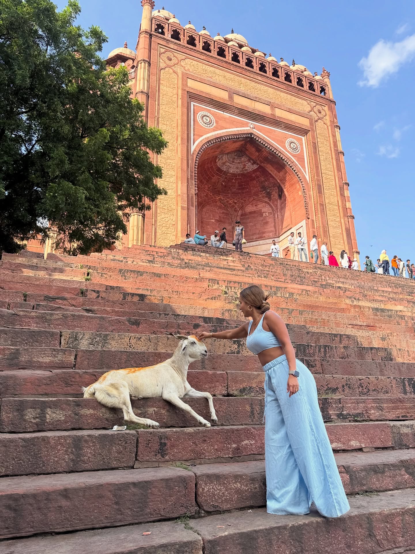 Veronica Weffer #234234