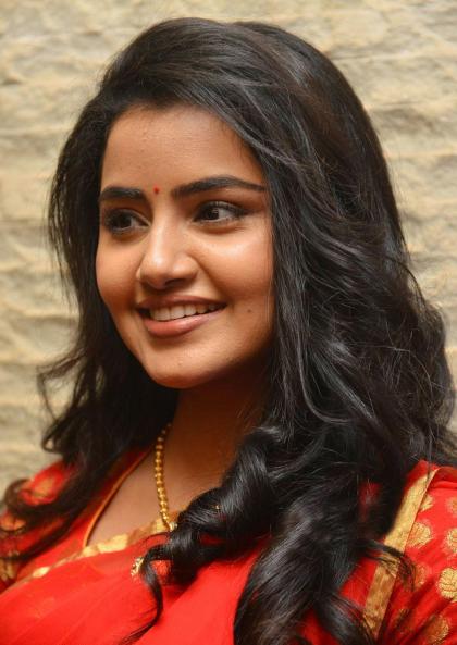 Anupama Parameswaran photo 238559