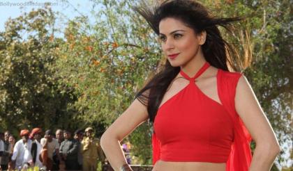 Shraddha Arya photo 240584
