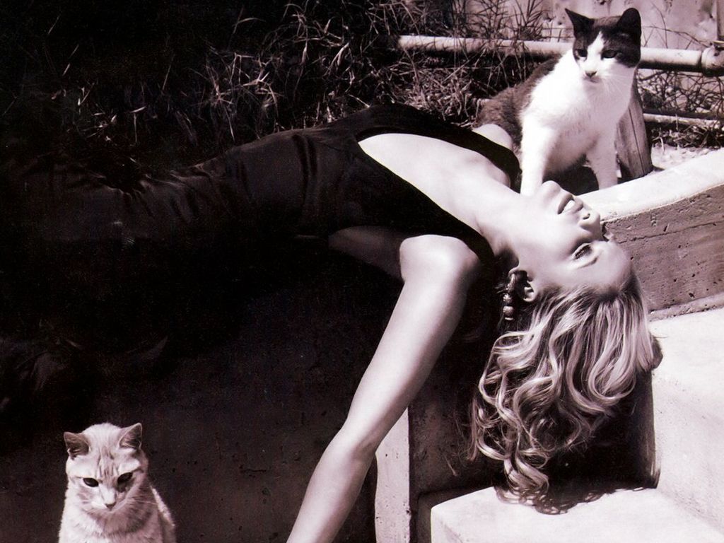 Sarah Michelle Gellar #53827