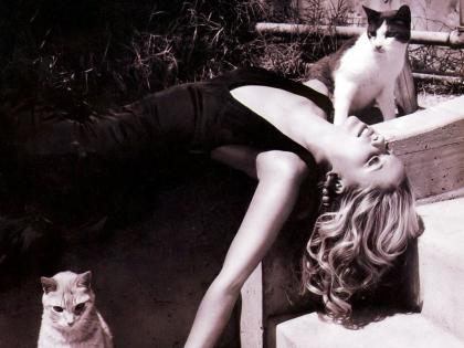 Sarah Michelle Gellar photo 53827