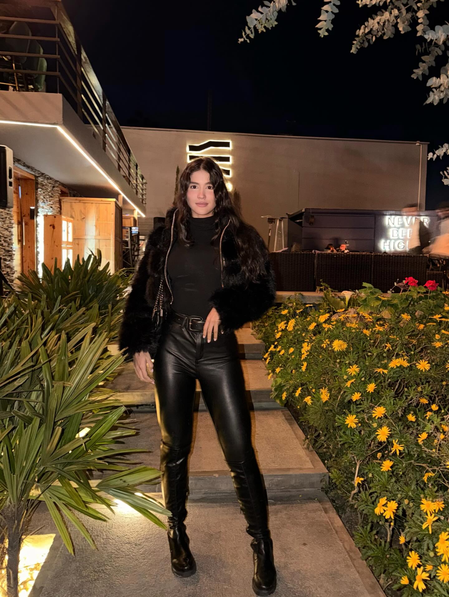 Gemeli Esmeralda #242228