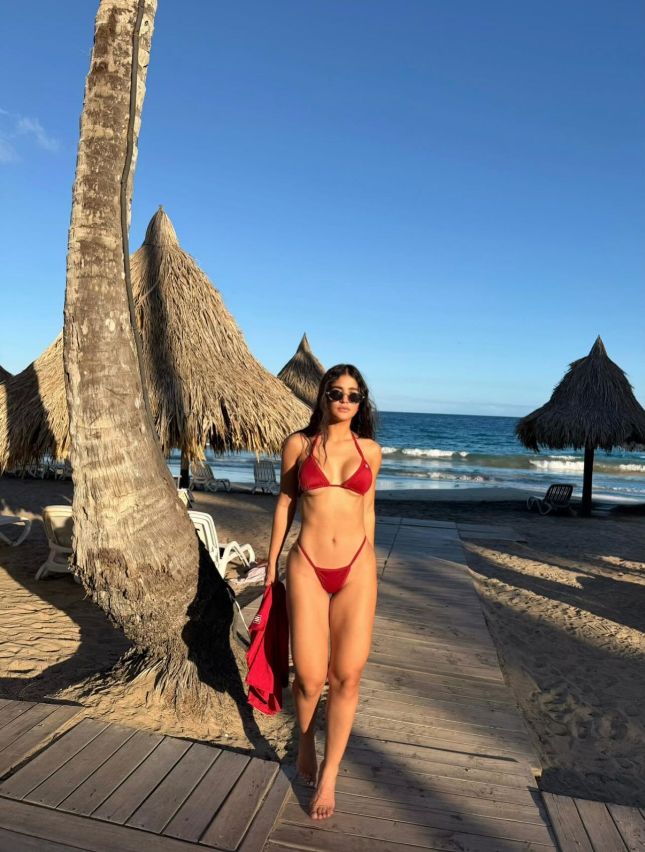 Gemeli Esmeralda #242302