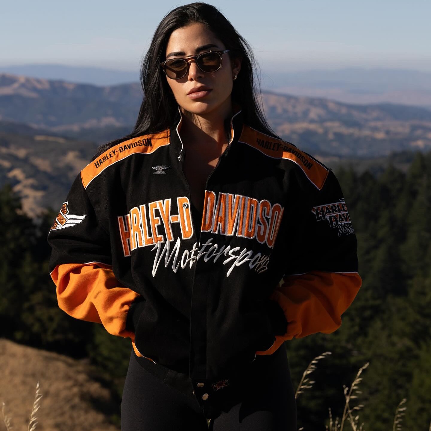 Pietra Luccas #242621