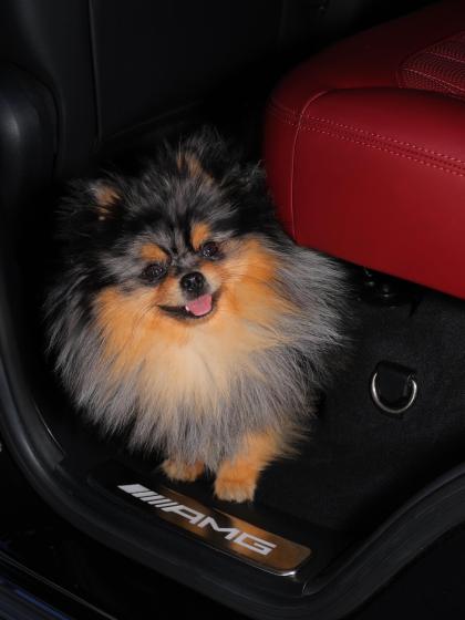 Sephora Noori photo 242855