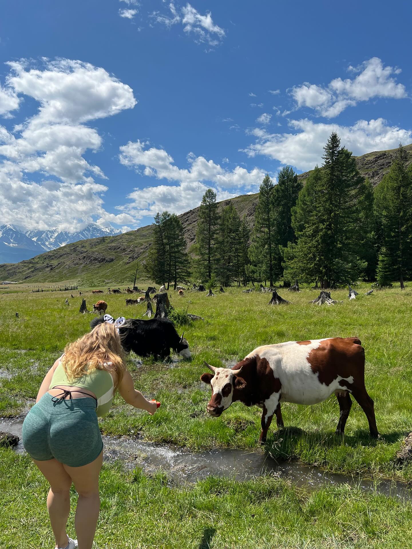 Cheryl Blossom #247099