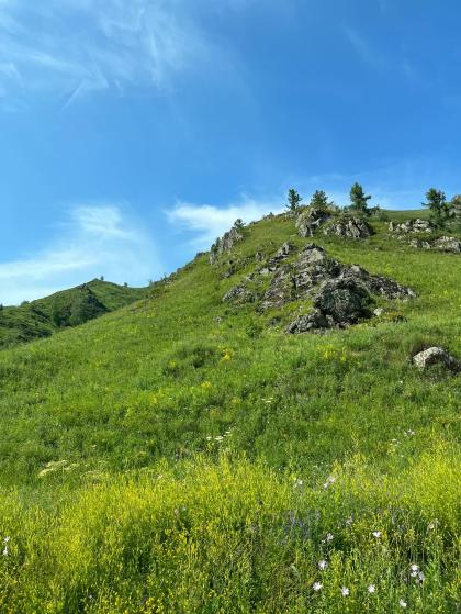 Cheryl Blossom photo 247100