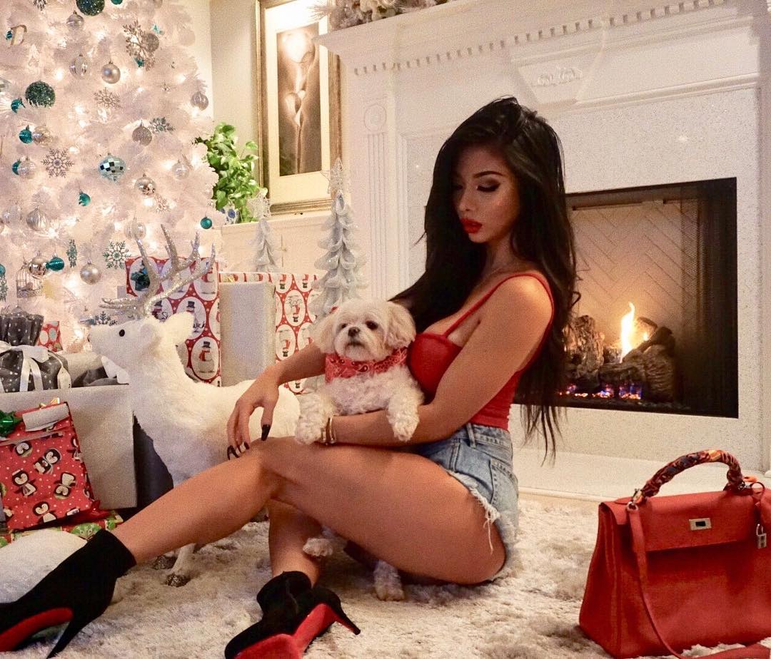 Lexi Vixi #247920