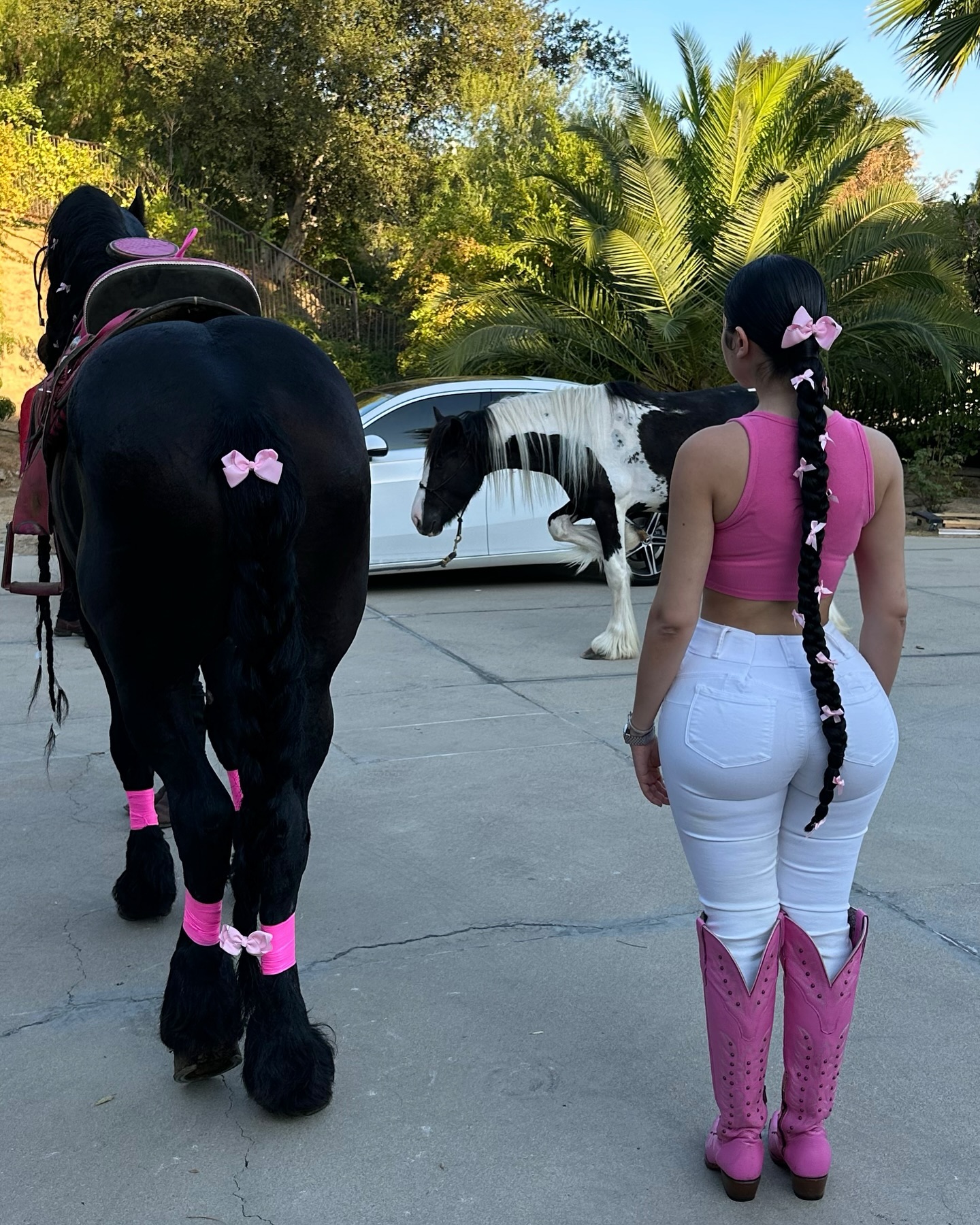 Jailyne Ojeda #250825