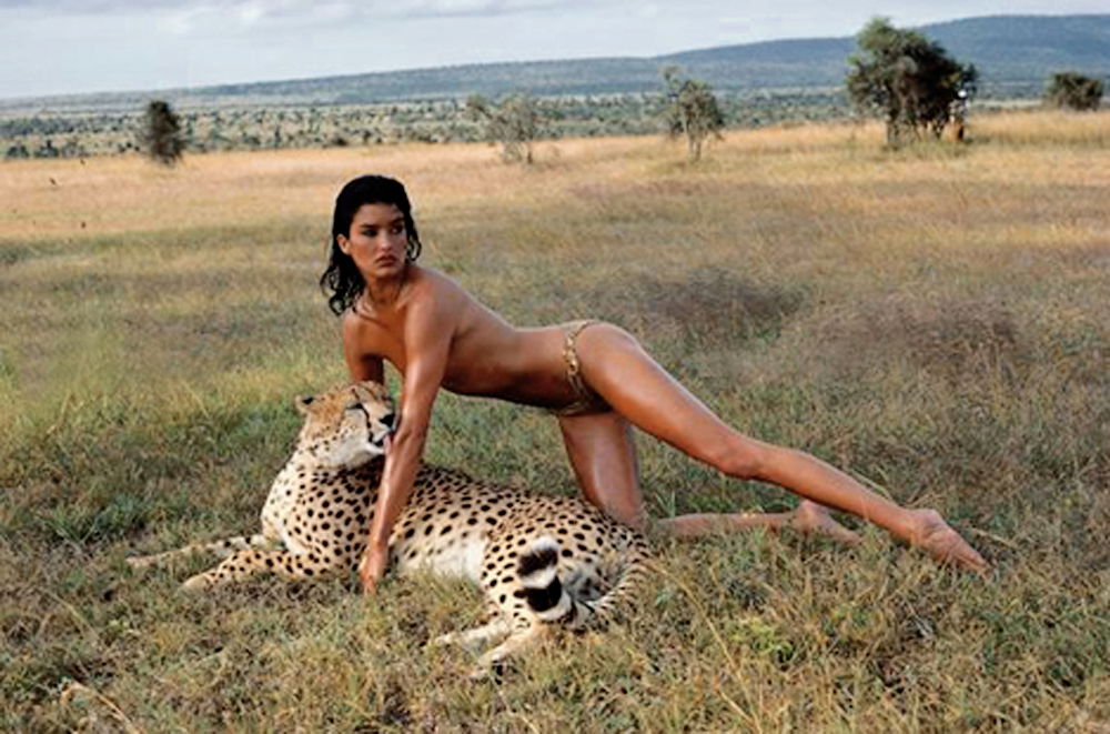 Janice Dickinson #252486