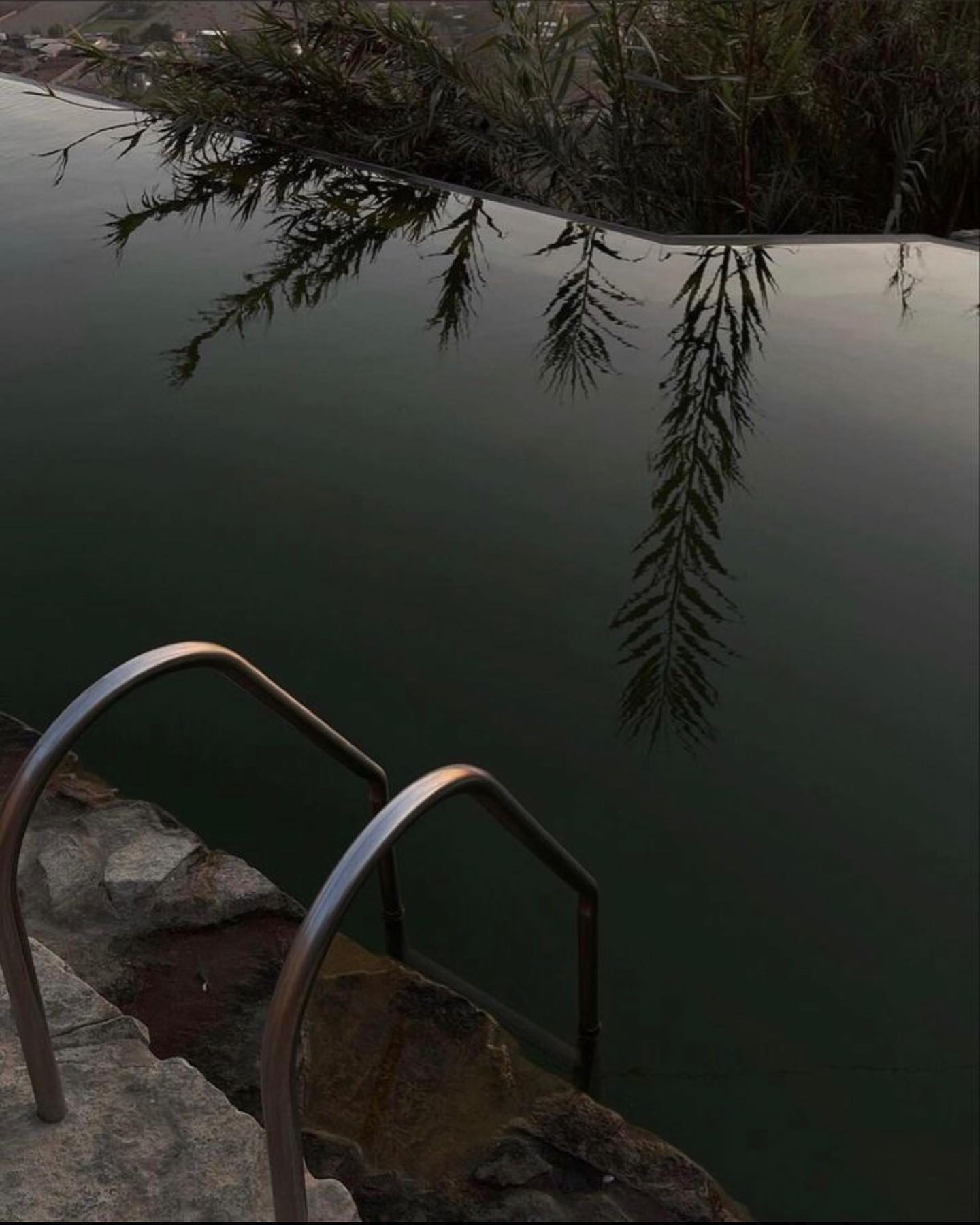 Katalina Gomez #19329