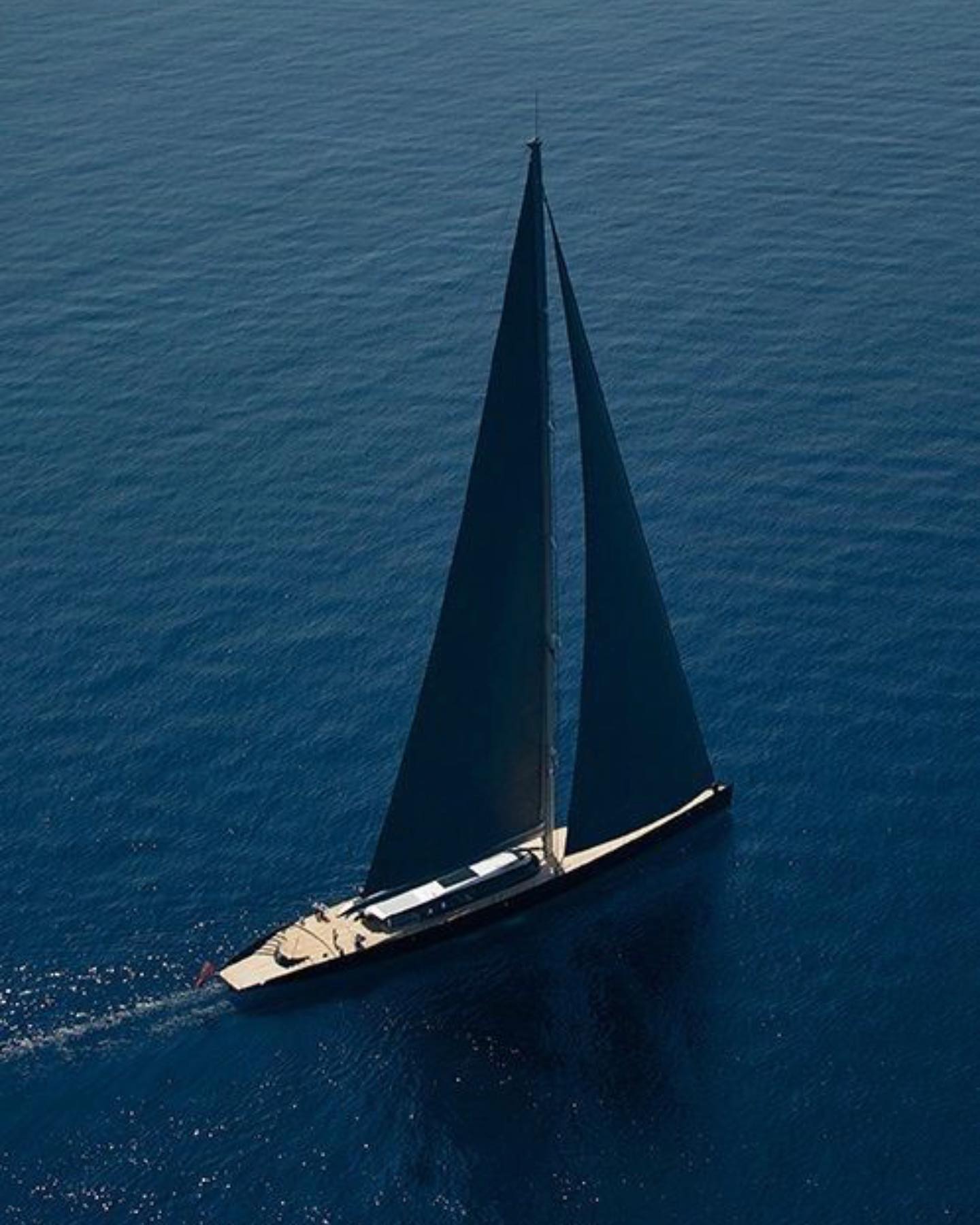 Katalina Gomez #19331