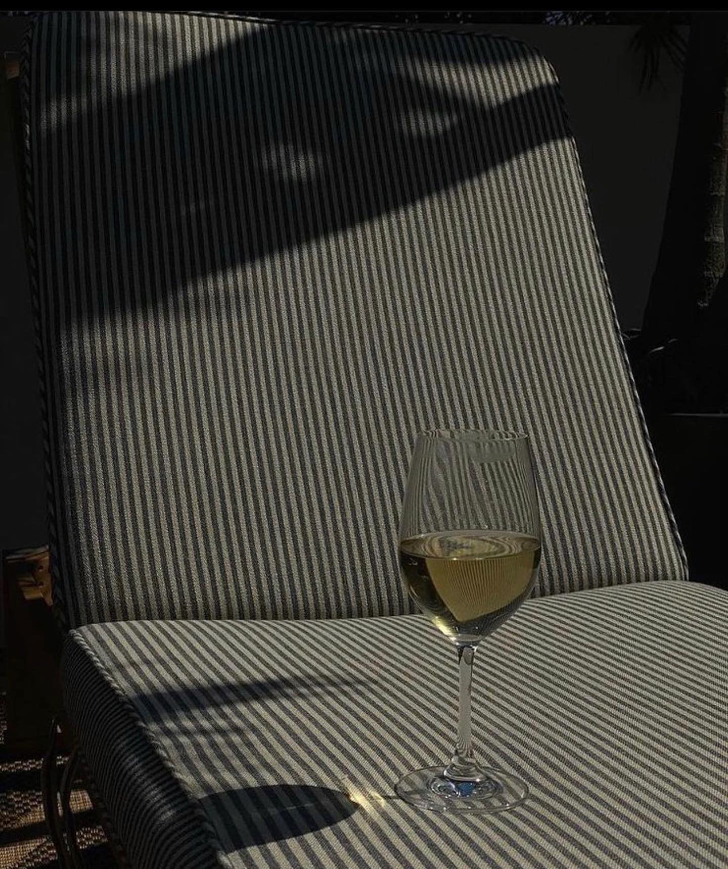 Katalina Gomez #19336