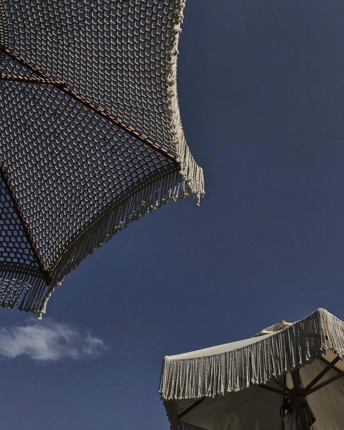 Katalina Gomez #19338