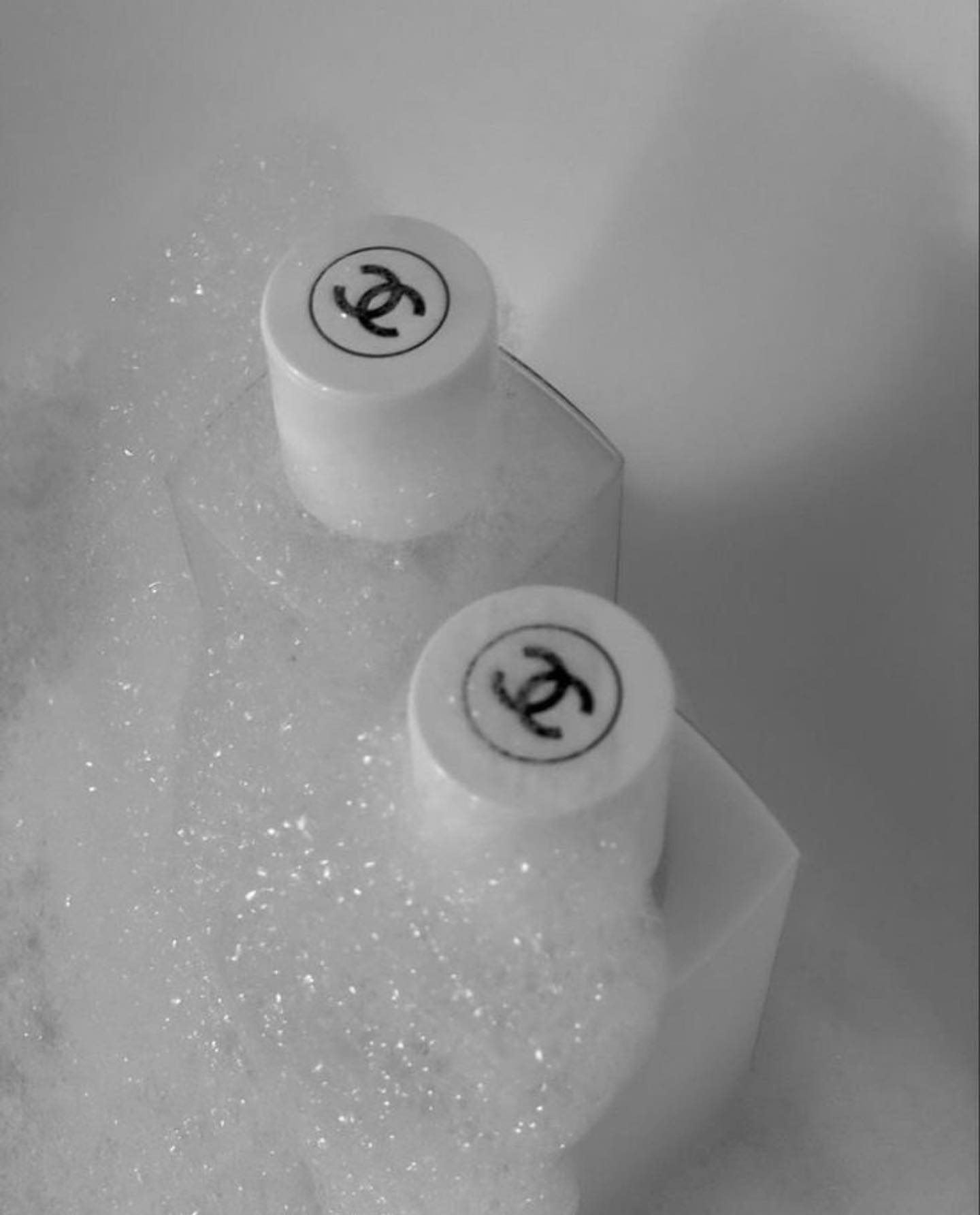 Katalina Gomez #19344