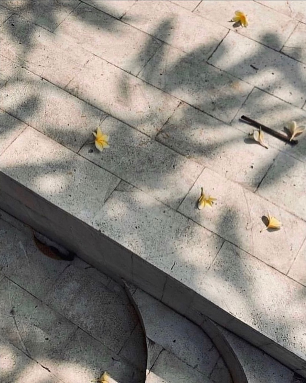 Katalina Gomez #19346