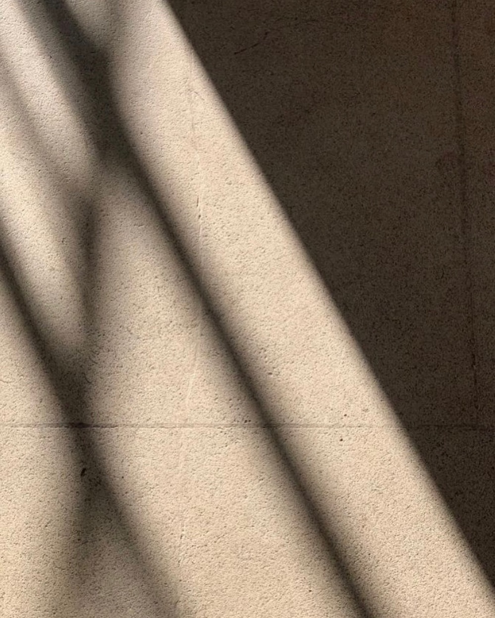 Katalina Gomez #19348