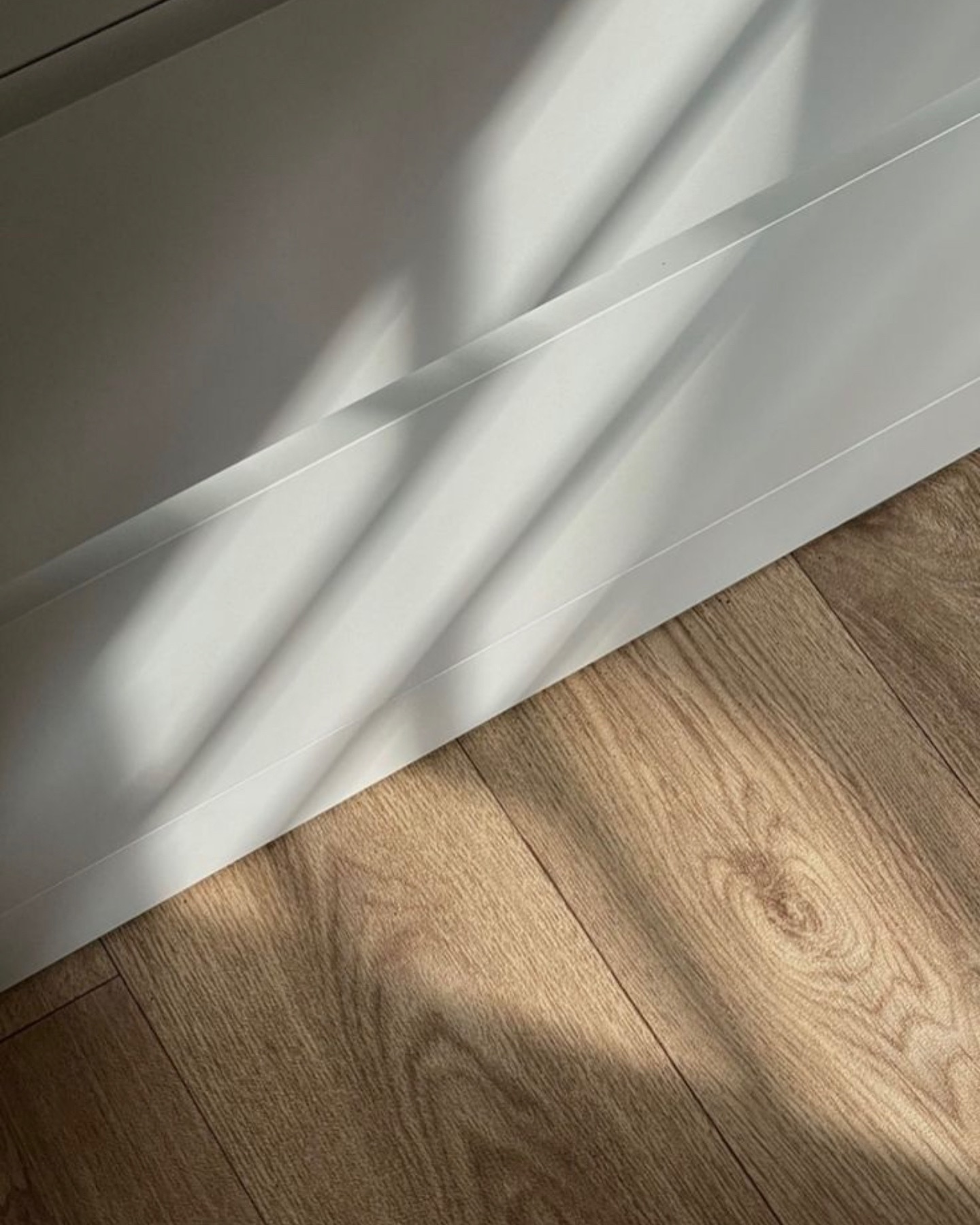 Katalina Gomez #19354