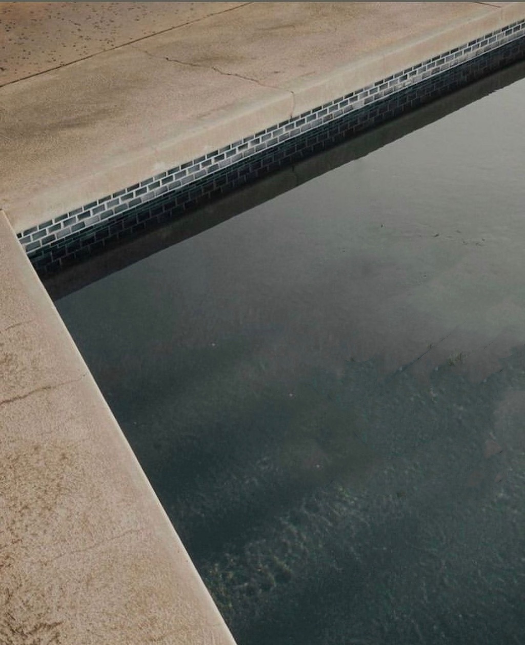 Katalina Gomez #19358