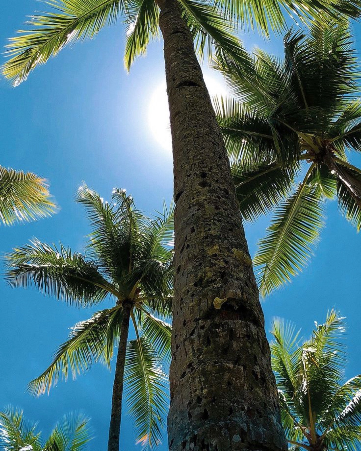 Katalina Gomez #19362