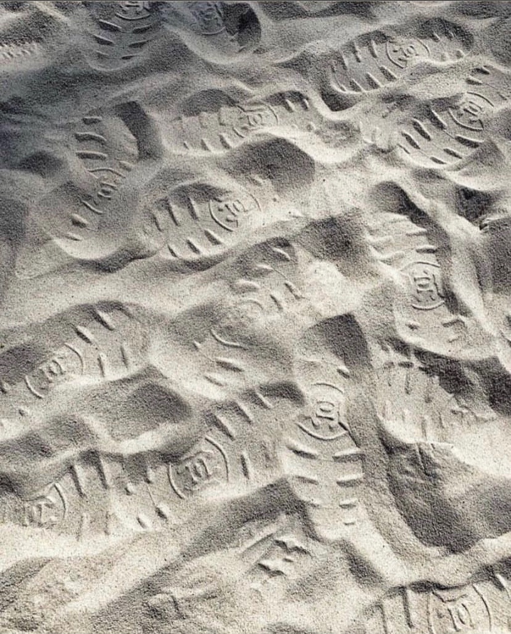 Katalina Gomez #19368