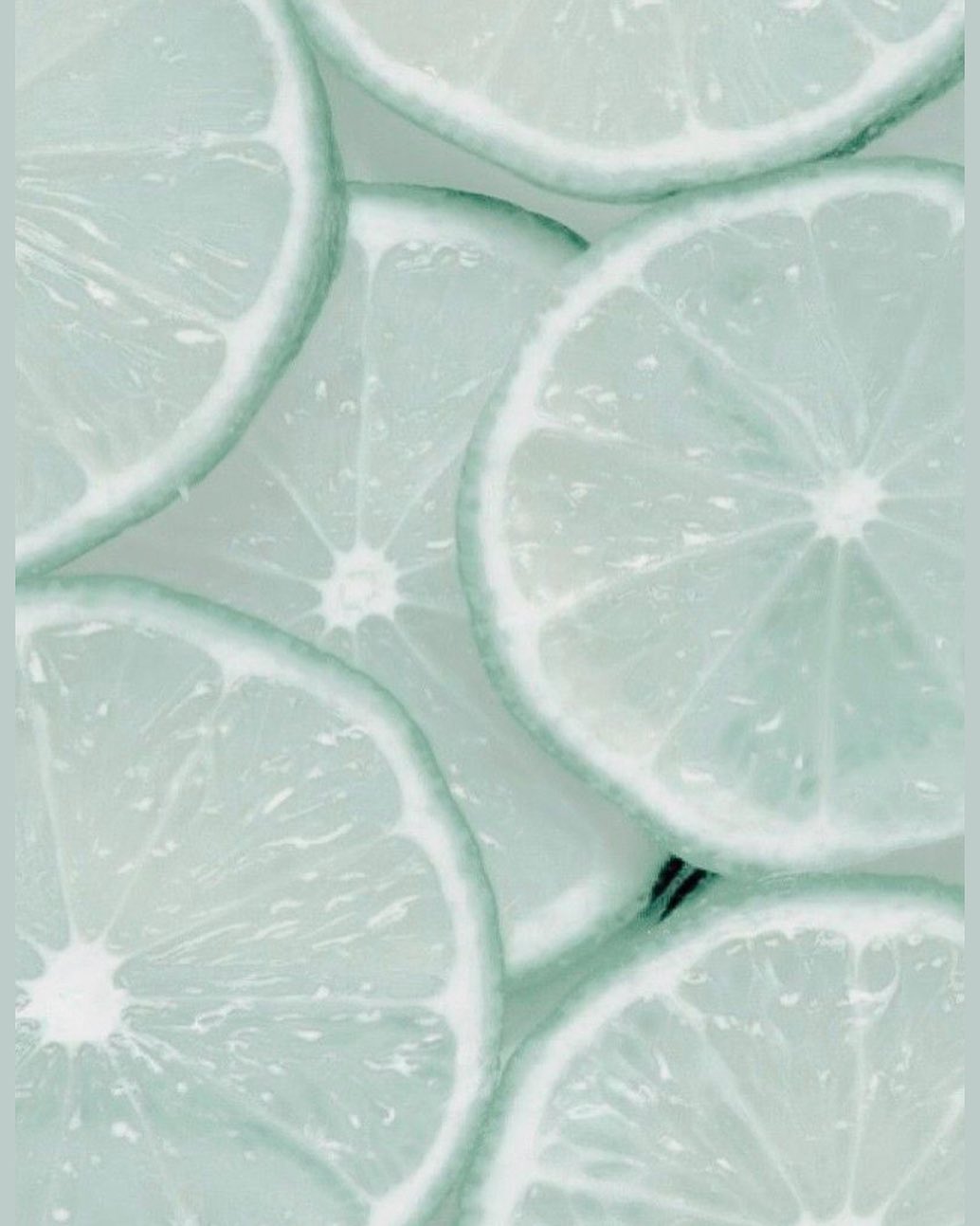 Katalina Gomez #19378