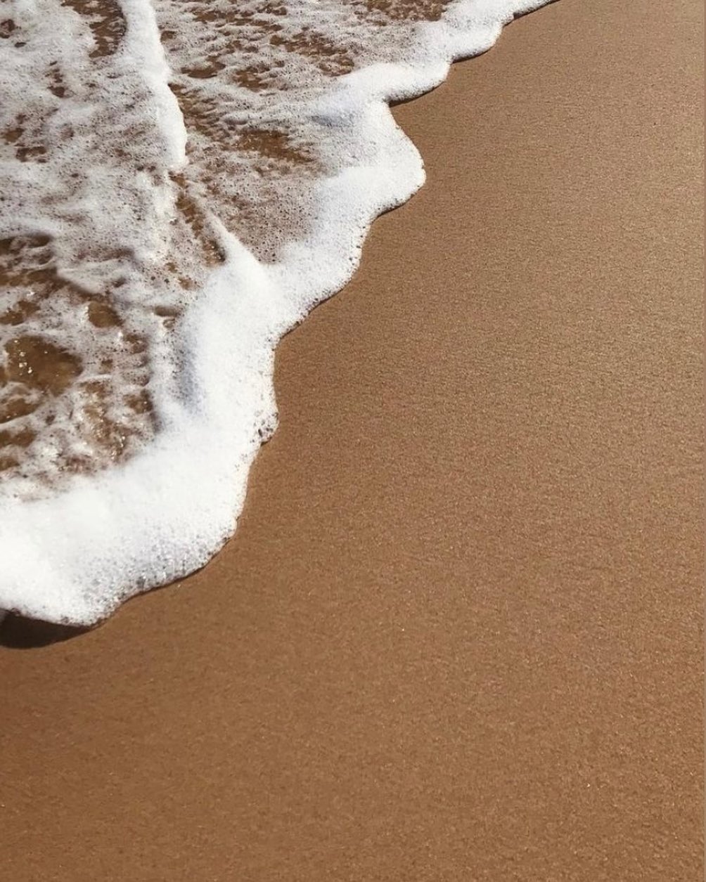 Katalina Gomez #19380