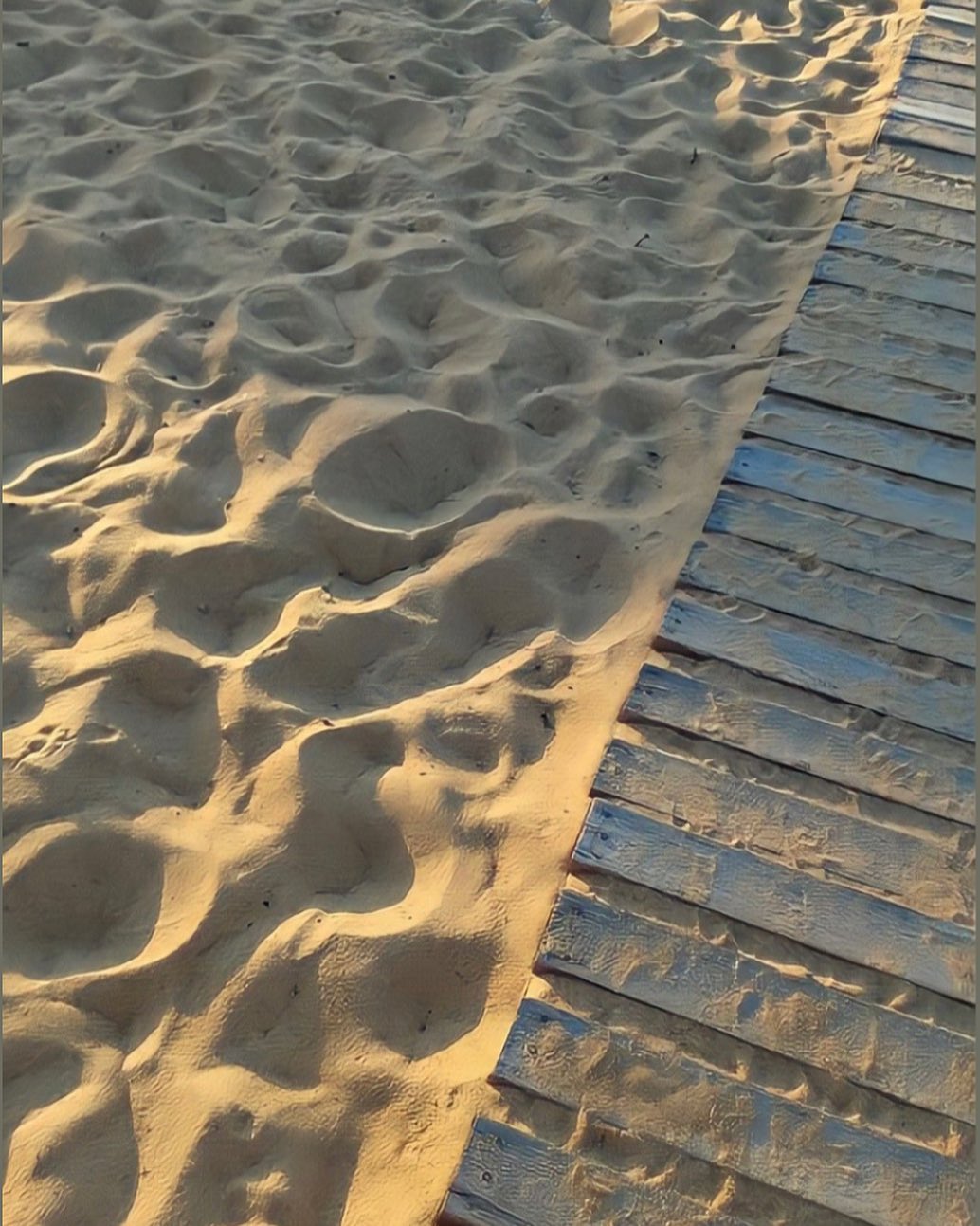 Katalina Gomez #19386