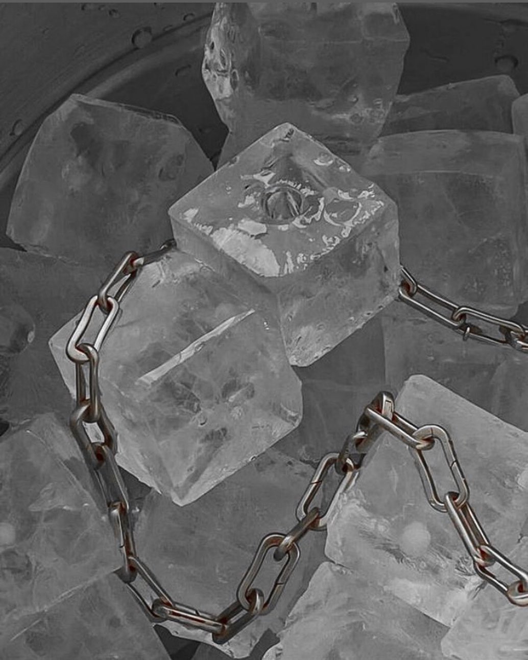 Katalina Gomez #19388