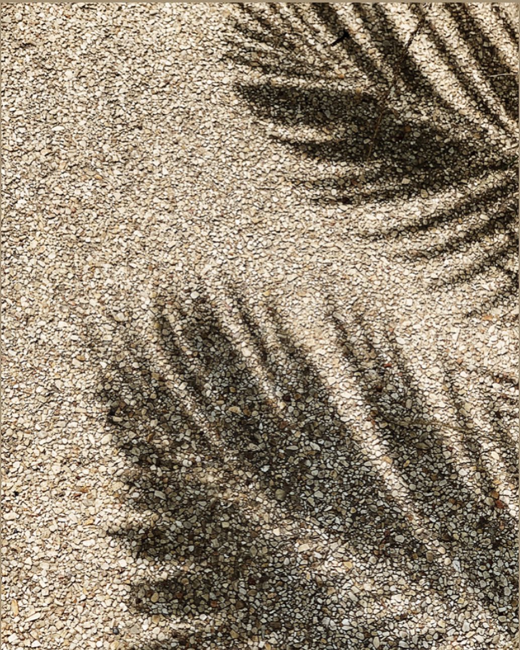 Katalina Gomez #19392