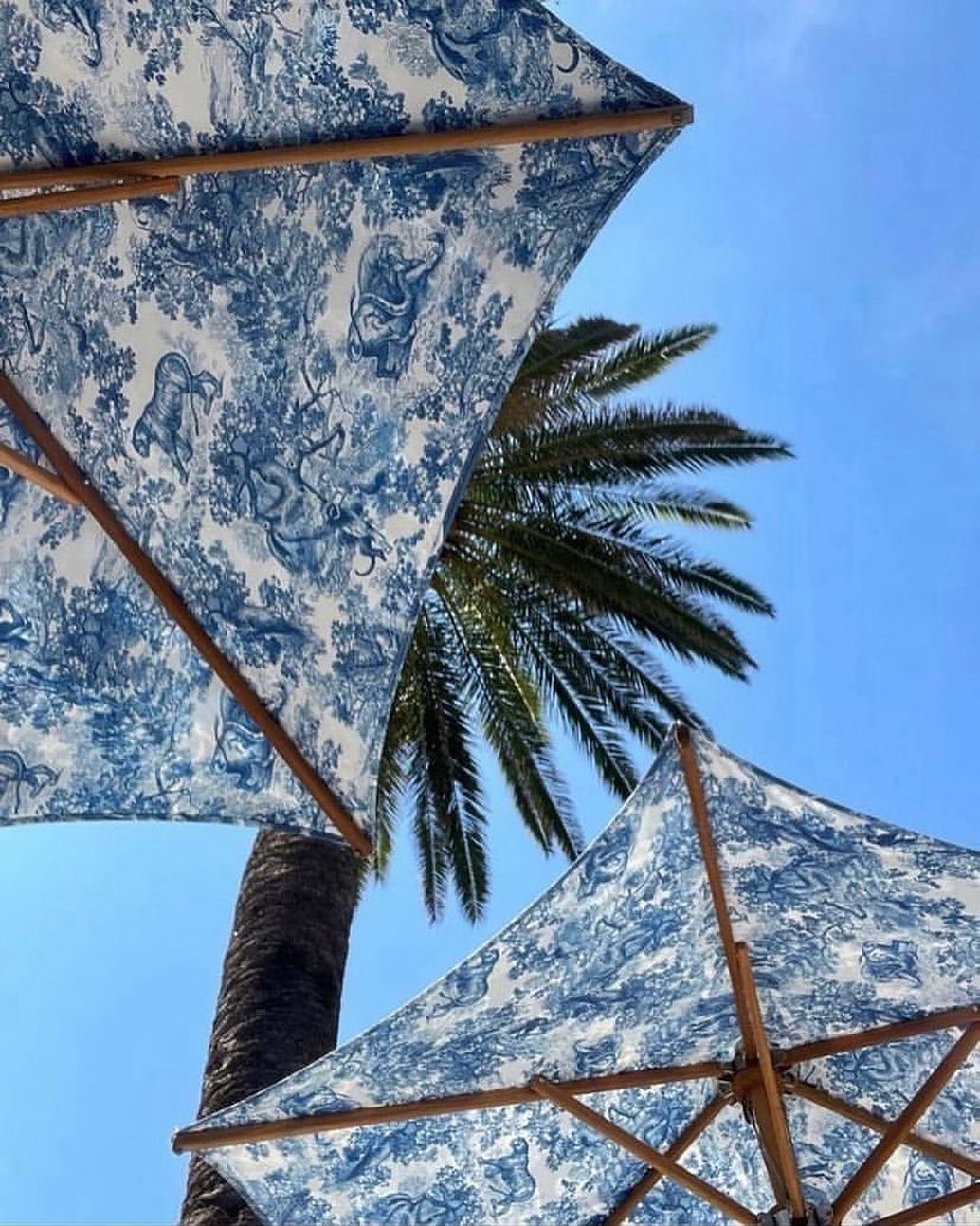 Katalina Gomez #19394