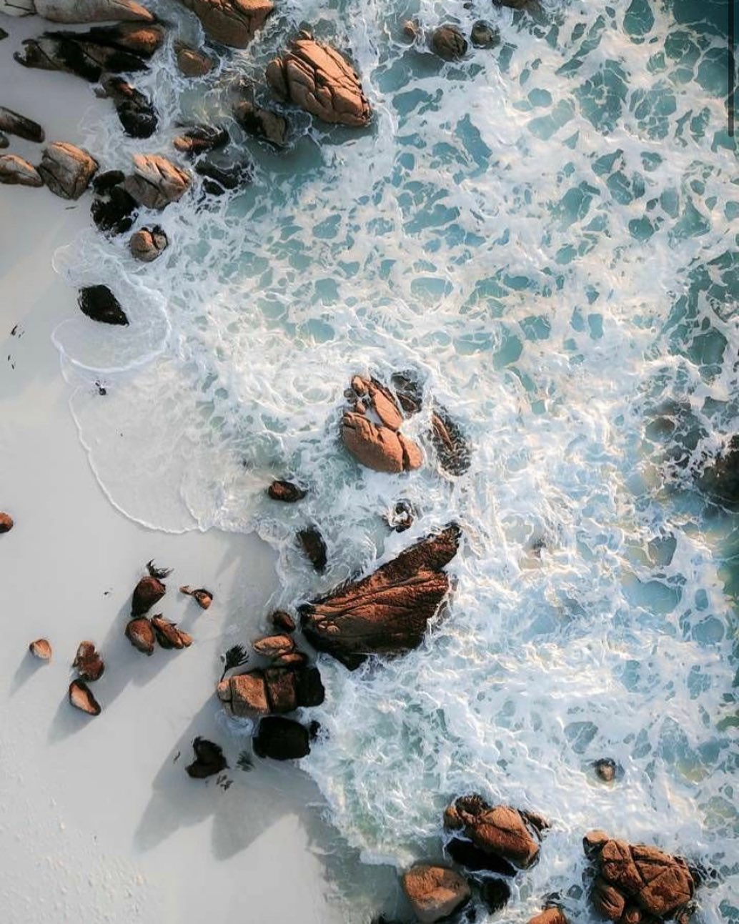 Katalina Gomez #19404