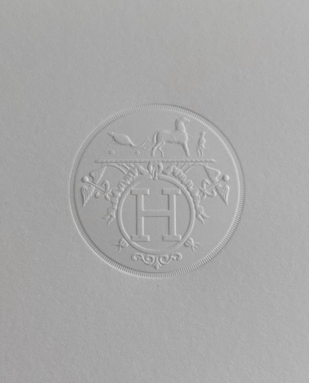 Katalina Gomez #19416